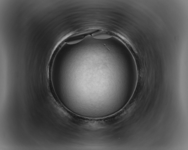 X0000086900790200704161315