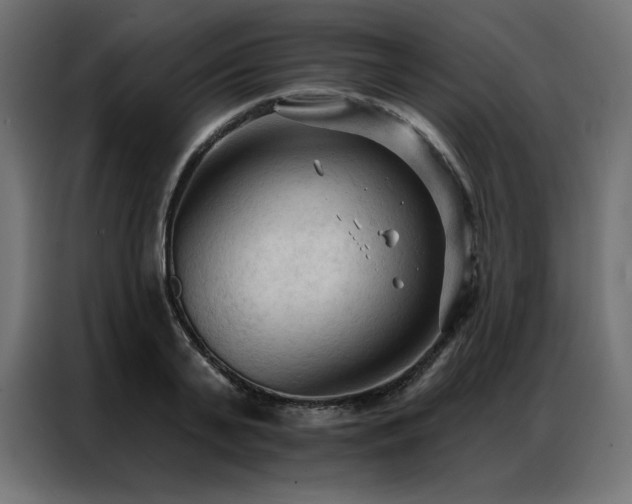 X0000086900791200704161315