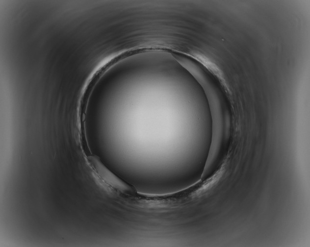 X0000086900792200704161315