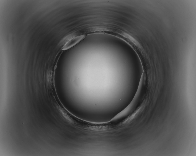 X0000086900793200704161315