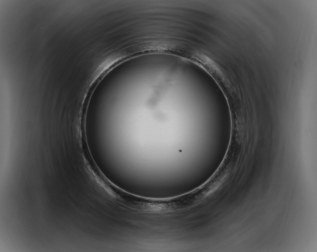X0000086900794200704161315
