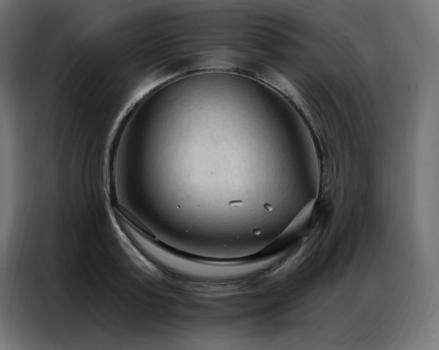 X0000086900795200704161315