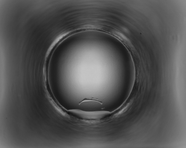 X0000086900796200704161315