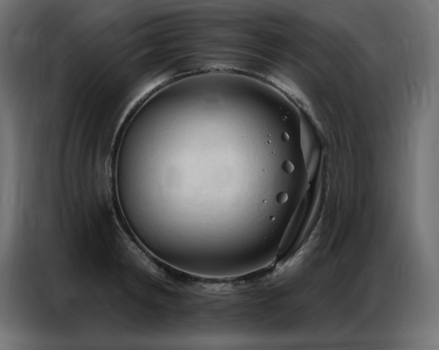 X0000086900798200704161315
