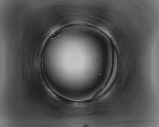 X0000086900799200704161315