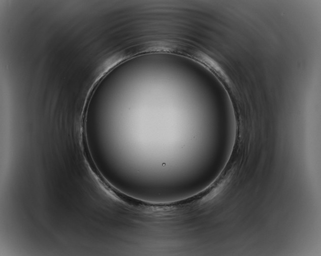 X0000086900802200704161315