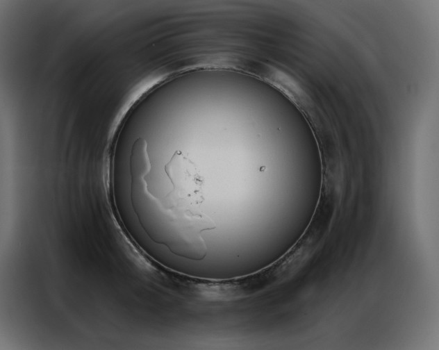 X0000086900804200704161315