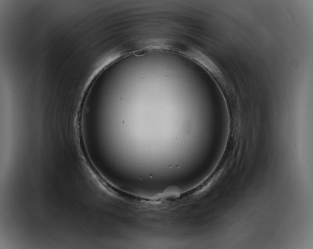 X0000086900806200704161314