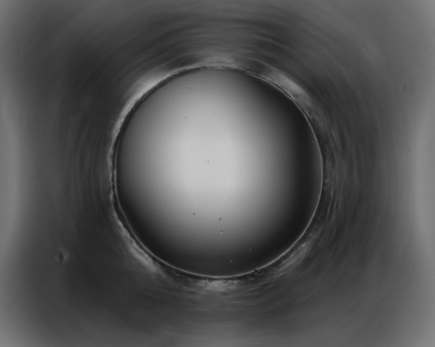 X0000086900808200704161314