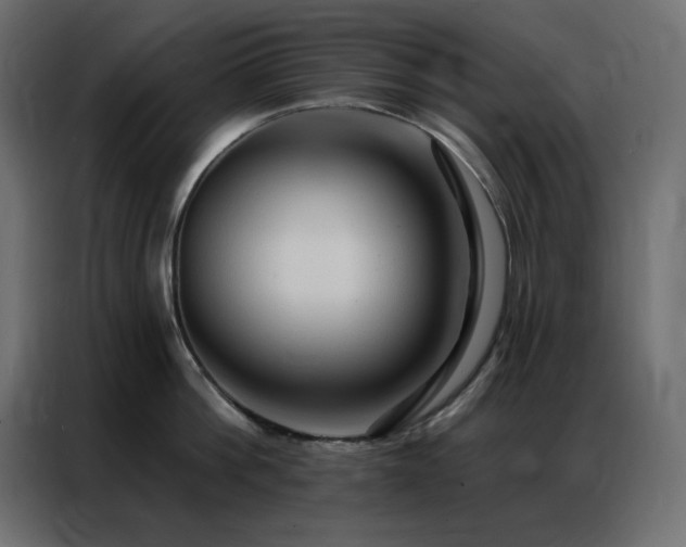X0000086900812200704161314