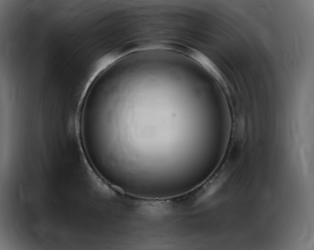 X0000086900813200704161314