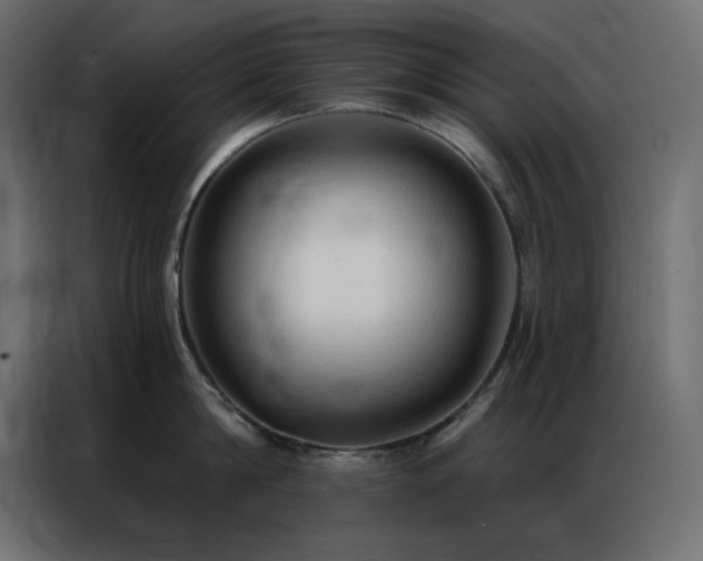 X0000086900814200704161314