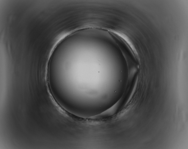 X0000086900815200704161314