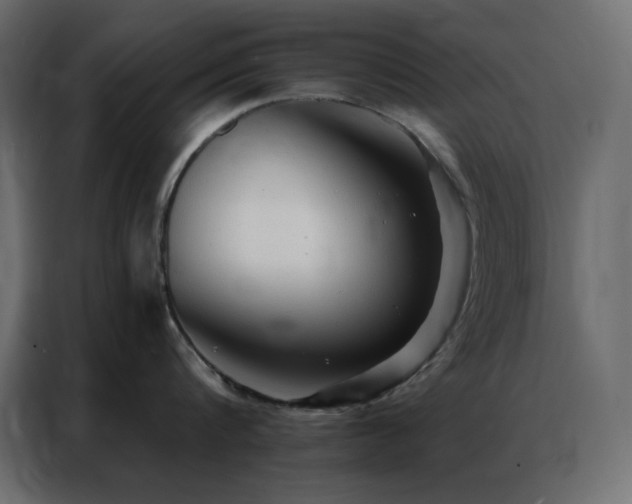 X0000086900816200704161314