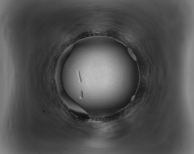 X0000086900817200704161313