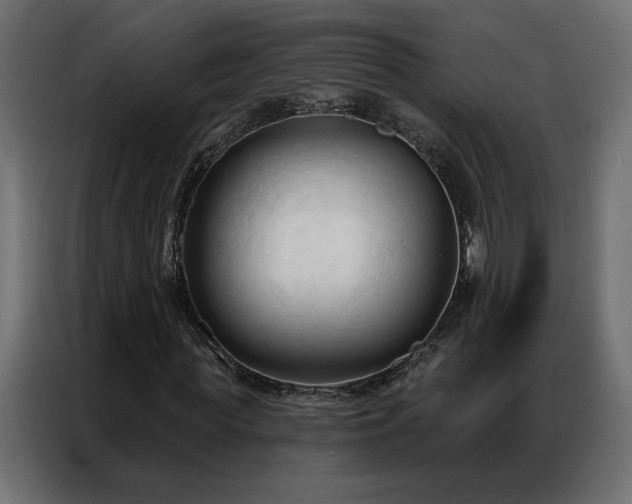 X0000086900819200704161313