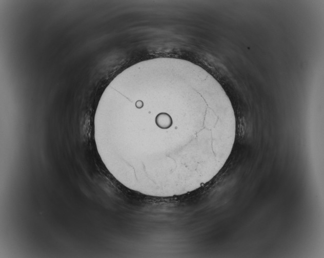 X0000086900820200704161313