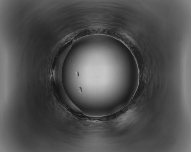 X0000086900821200704161313