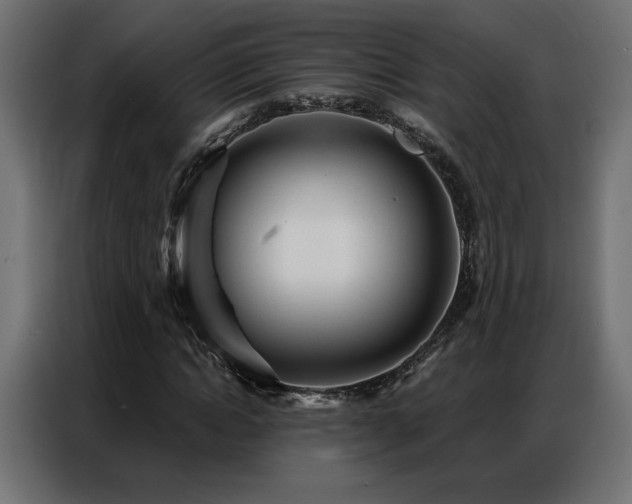 X0000086900822200704161313