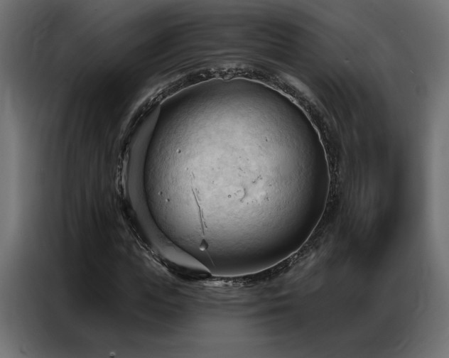 X0000086900823200704161313