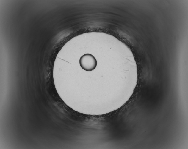 X0000086900824200704161313