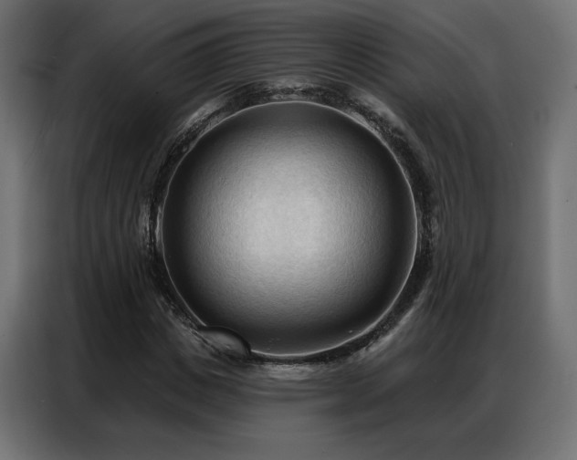 X0000086900825200704161313
