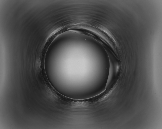 X0000086900826200704161314