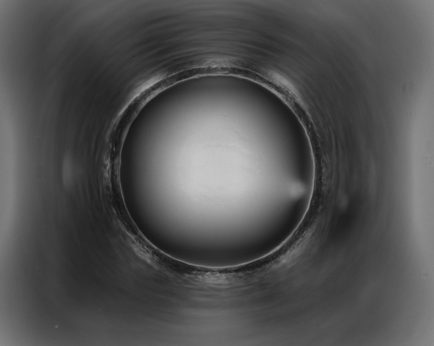 X0000086900827200704161314
