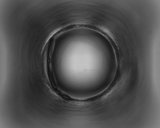 X0000086900829200704161314