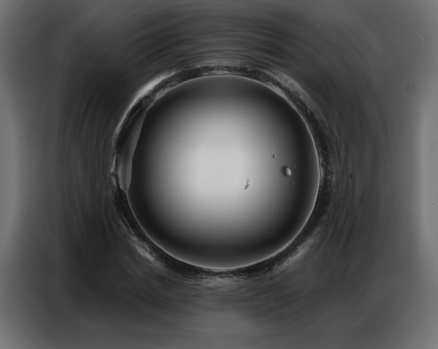 X0000086900830200704161314