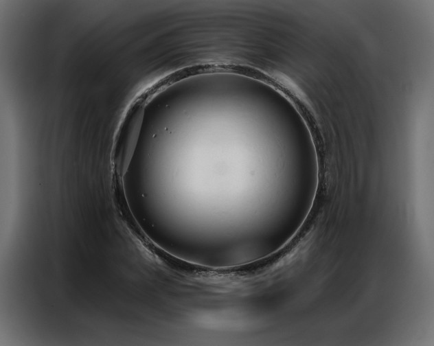 X0000086900831200704161314