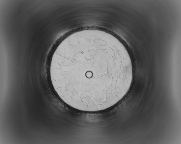 X0000086900832200704161314