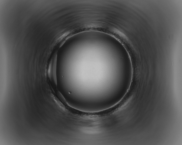 X0000086900833200704161314