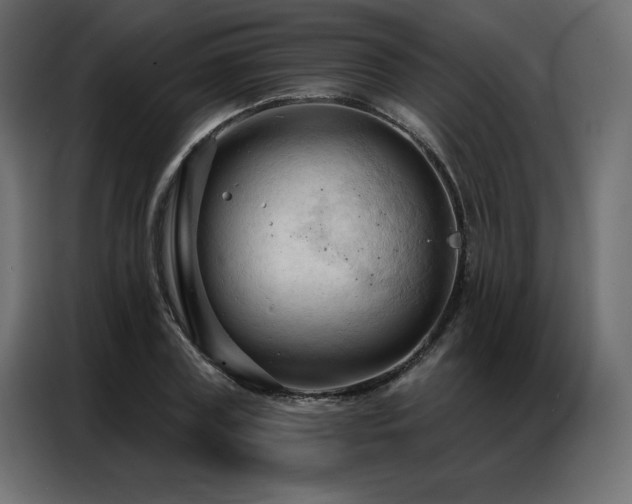 X0000086900835200704161314
