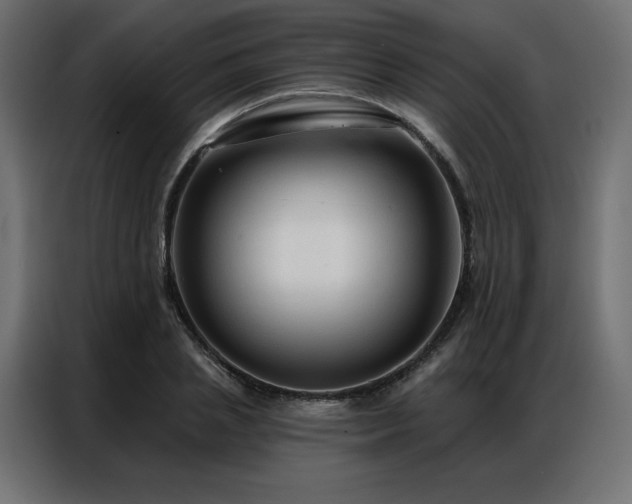 X0000086900837200704161314