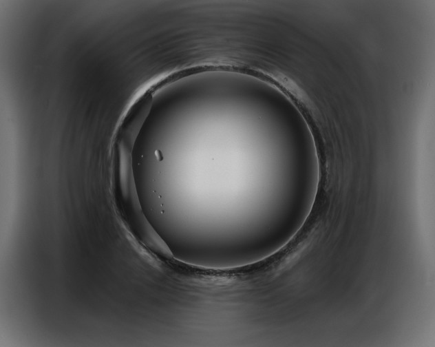 X0000086900838200704161314