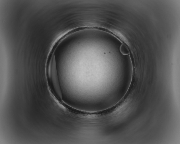 X0000086900839200704161314