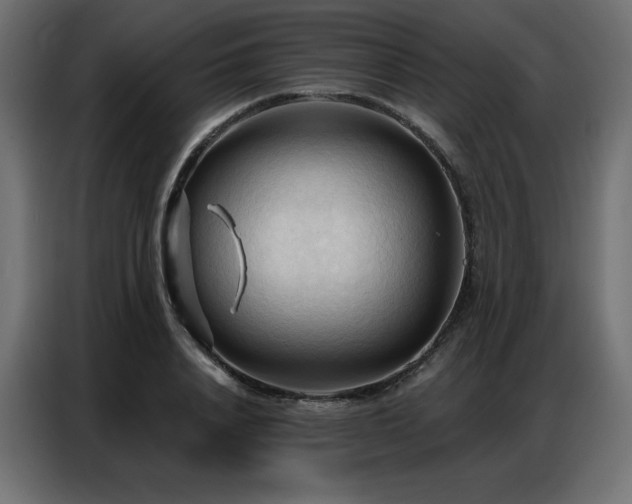 X0000086900840200704161314