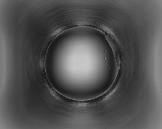 X0000086900841200704161314