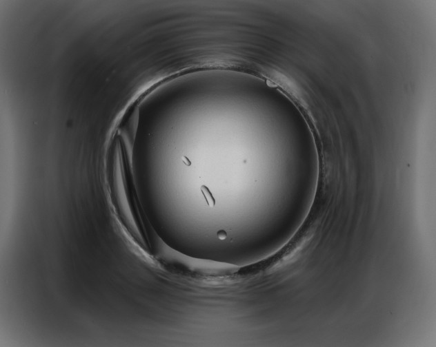 X0000086900843200704161314