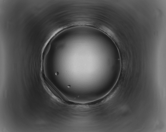 X0000086900844200704161314