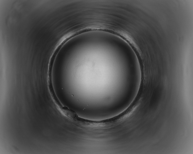 X0000086900845200704161314