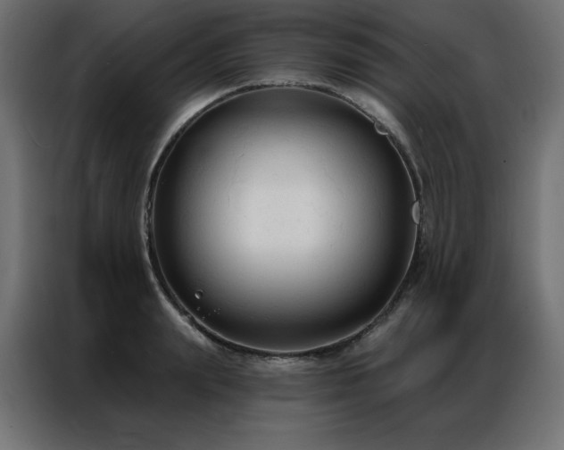 X0000086900847200704161314
