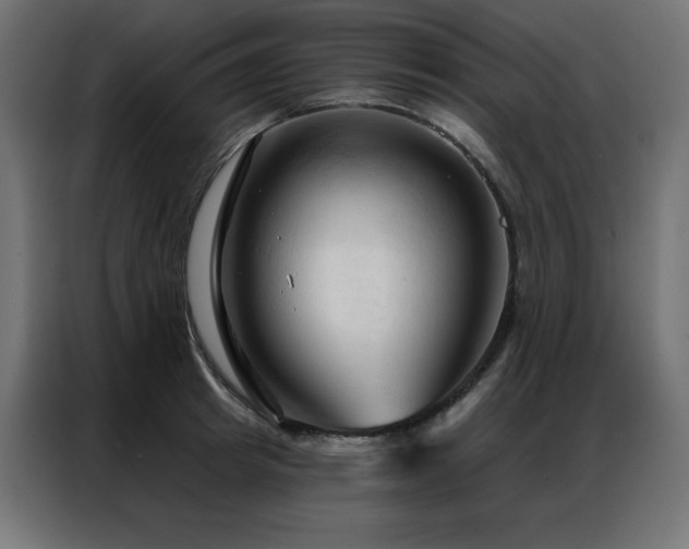 X0000086900849200704161314