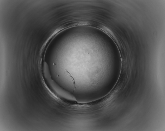X0000086900851200704161314
