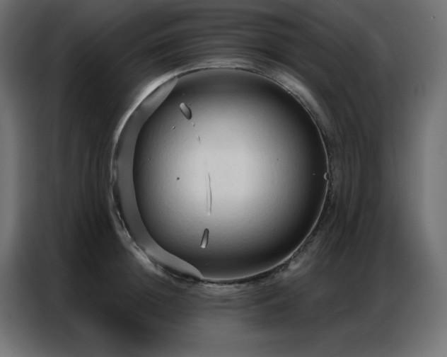 X0000086900852200704161314