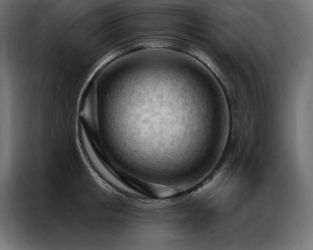 X0000086900853200704161314