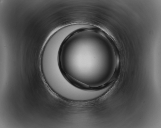 X0000086900854200704161314