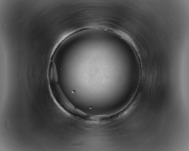 X0000086900855200704161314