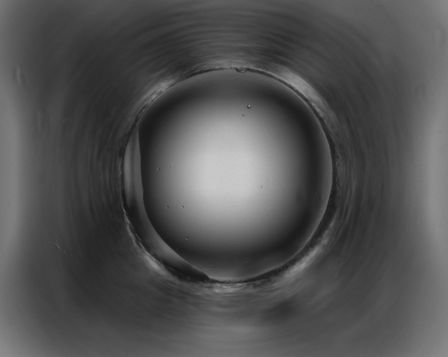 X0000086900857200704161314